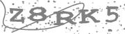 Type the letters in the image or Type the first letter of the words spoken in the audio.